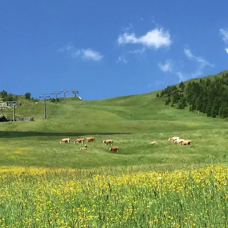 Bioblockhaus Katschberg Hébergement de vacances
