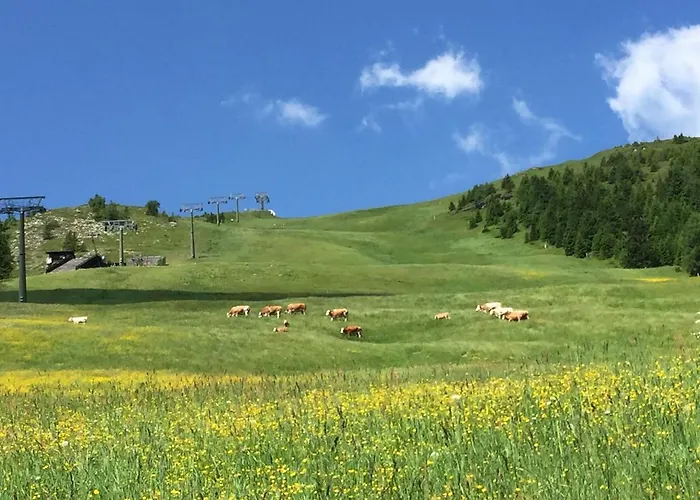 Bioblockhaus Katschberg 別荘